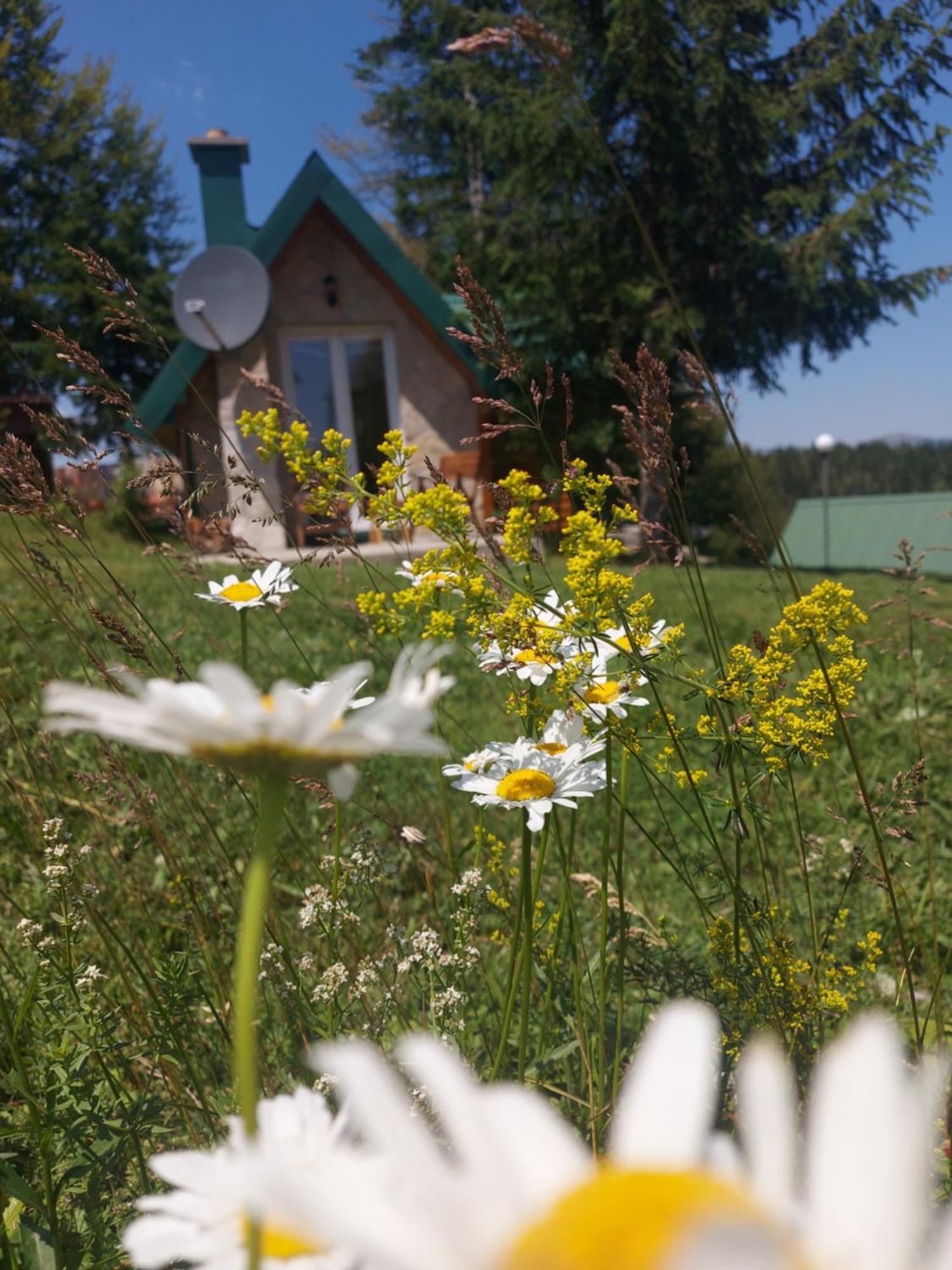 Durmitor Bungalows Жабляк Экстерьер фото